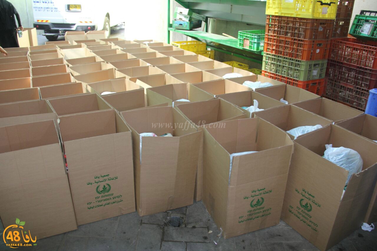 torody second marl7ala (8).jpg